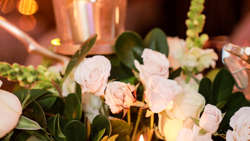 Carnet : naissances, mariages et décès à Manosque – février 2026